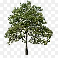 高清创意摄影园林景观-空若网 高清创意摄影园林景观-空若网