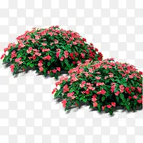 高清摄影园林红色花卉-空若网 高清摄影园林红色花卉-空若网