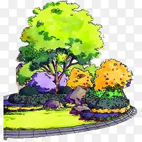 手绘彩色园林植物-空若网 手绘彩色园林植物-空若网