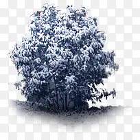 ������Ӱ������ȾЧ��԰��-������