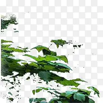 园林风景摄影艺术-空若网 园林风景摄影艺术-空若网