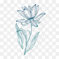 ���⻨��-������