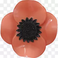 开花植物,花瓣,花,雏菊,开花植物-海葵-空若网 开花植物,花瓣,花,雏菊,开花植物-海葵-空若网