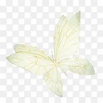 ��ɫ����ͼƬ-������