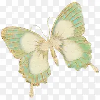 蝴蝶动物图片-空若网 蝴蝶动物图片-空若网