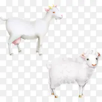 矢量动物家畜山羊绵羊可爱-空若网 矢量动物家畜山羊绵羊可爱-空若网