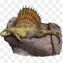 ʸ������-������