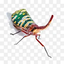 ����������-������