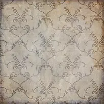 ���Ƹ���ֽ�ű���-������