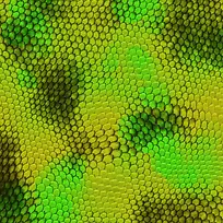 绿色蛇皮背景-空若网 绿色蛇皮背景-空若网