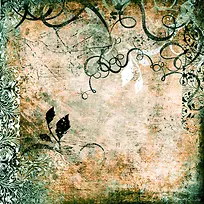 ��ɫ���Ʊ���-������