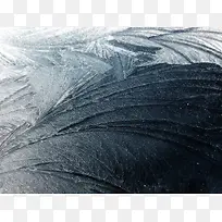 ��ɫ���Ʊ���-������