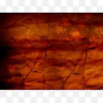 ����ֽ�ű���-������