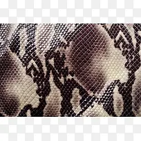 蛇皮背景-空若网 蛇皮背景-空若网