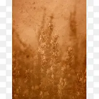 棕色小草背景-空若网 棕色小草背景-空若网