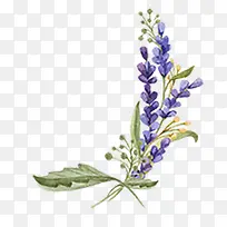 薰衣草矢量免扣图-空若网 薰衣草矢量免扣图-空若网