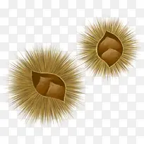 手绘野生植物插画-空若网 手绘野生植物插画-空若网