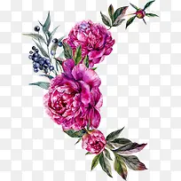 �ֻ�廭-������