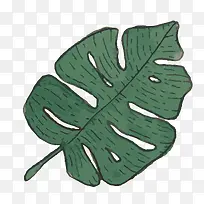 手绘植物-空若网 手绘植物-空若网