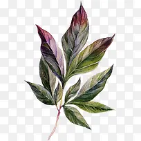 �ֻ�廭-������