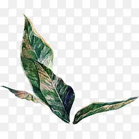 �ֻ�廭-������