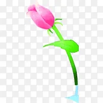 插画手绘植物卡通花朵-空若网 插画手绘植物卡通花朵-空若网