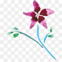 植物插画花朵效果-空若网 植物插画花朵效果-空若网