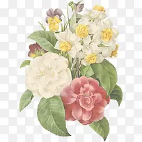 手绘插画植物花朵-空若网 手绘插画植物花朵-空若网