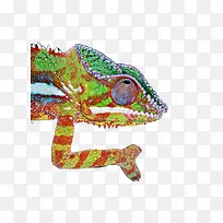 ƫ��ɫ��ɫ��ͷ-������