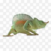 变色龙动物-空若网 变色龙动物-空若网