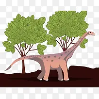 ��ͨ������-������