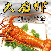 食物龙虾-空若网 食物龙虾-空若网