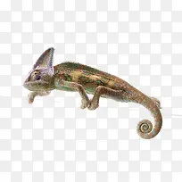 ��������-������