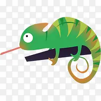 动物-空若网 动物-空若网