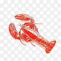 龙虾手绘卡通-空若网 龙虾手绘卡通-空若网