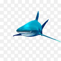 ��Ʒʵ������-������