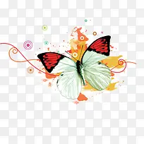 创意花蝴蝶-空若网 创意花蝴蝶-空若网