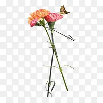 ����ͺ���-������