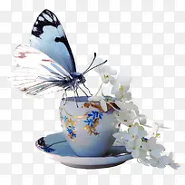 超唯美蝴蝶杯子花-空若网 超唯美蝴蝶杯子花-空若网
