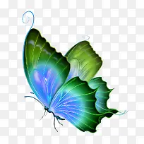 花蝴蝶-空若网 花蝴蝶-空若网