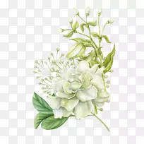 水彩画花卉设计手绘水彩画花卉-空若网 水彩画花卉设计手绘水彩画花卉-空若网