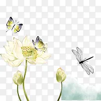 水彩莲花-空若网 水彩莲花-空若网