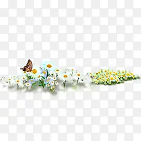 高清创意摄影花卉蝴蝶-空若网 高清创意摄影花卉蝴蝶-空若网