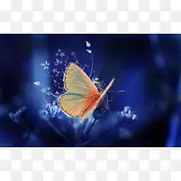 ���׻��ܳ�ɫ������������-������