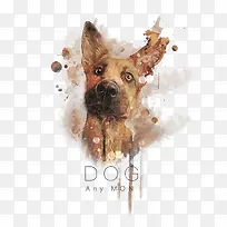 ˮ�ʲ廭��ͨ����-������