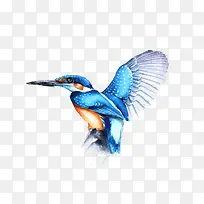 ˮ�ʲ廭��-������