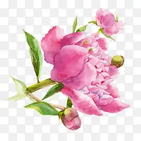 水彩插画-空若网 水彩插画-空若网