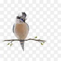 ˮ�ʲ廭��-������