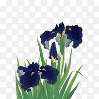 水彩插画-蓝花-空若网 水彩插画-蓝花-空若网