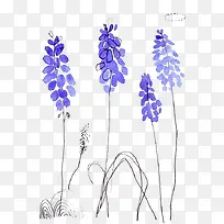 薰衣草-空若网 薰衣草-空若网